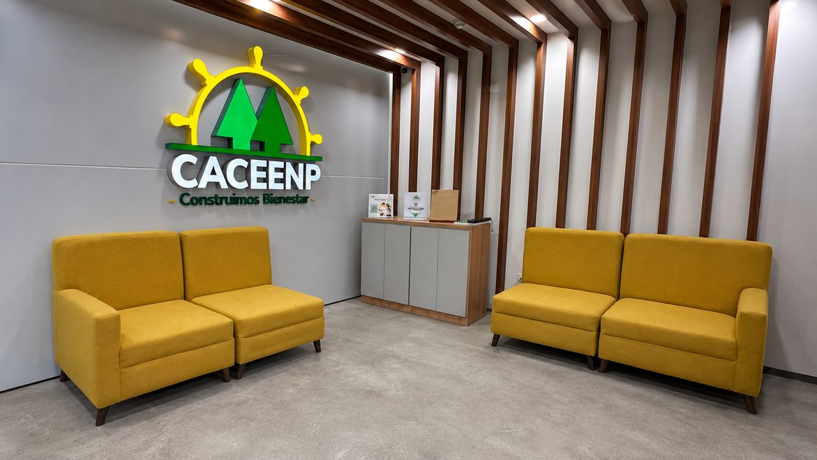 Construcción interior de proyectos